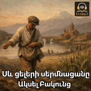 Գրքի նկար